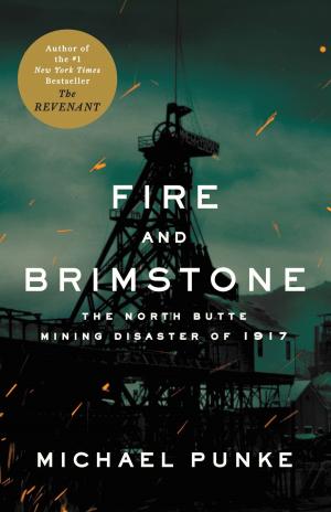 Cover of the book Fire and Brimstone by David Browne
