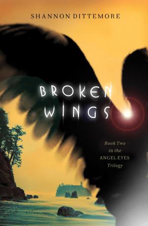 Cover of the book Broken Wings by Matt Keller