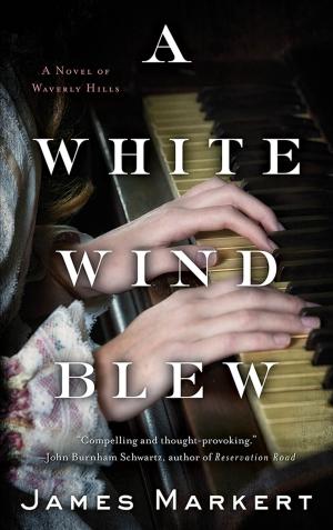 Cover of the book A White Wind Blew by Paul Hindman, Nate Evans, Vince Evans