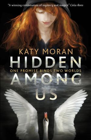 Cover of the book Hidden Among Us by Meg Medina