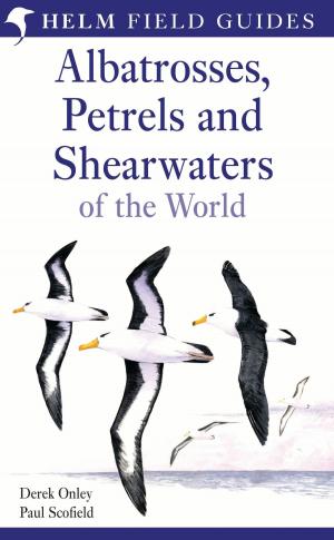 Cover of the book Albatrosses, Petrels and Shearwaters of the World by Philip Ridley