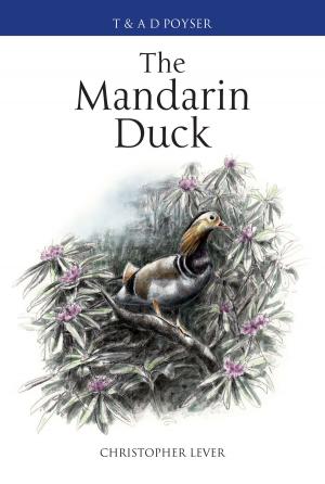 Cover of the book The Mandarin Duck by Michael Rosen