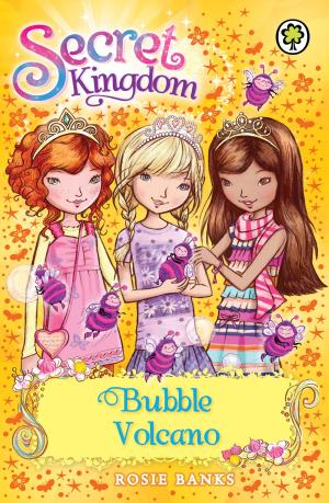 Cover of the book Secret Kingdom: Bubble Volcano by Jenny Oldfield
