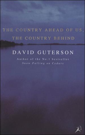 Cover of the book The Country Ahead of Us, the Country Behind by Don Wulffson