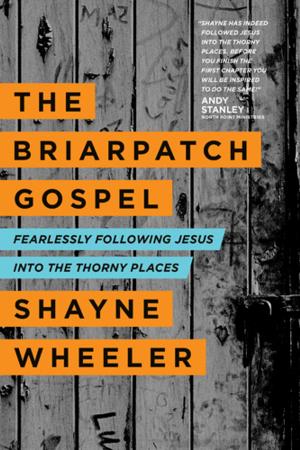 Cover of the book The Briarpatch Gospel by Karen Kingsbury