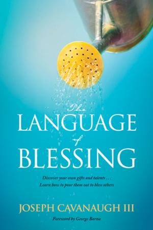 Cover of the book The Language of Blessing by Brian Kinnaird