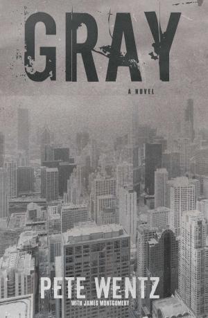 bigCover of the book Gray by 