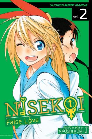 Book cover of Nisekoi: False Love, Vol. 2