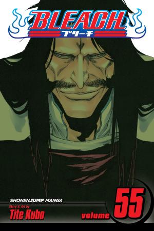 Cover of the book Bleach, Vol. 55 by Jinsei Kataoka