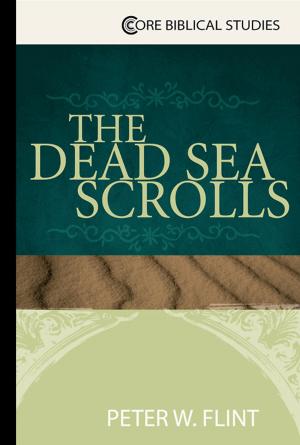 bigCover of the book The Dead Sea Scrolls by 