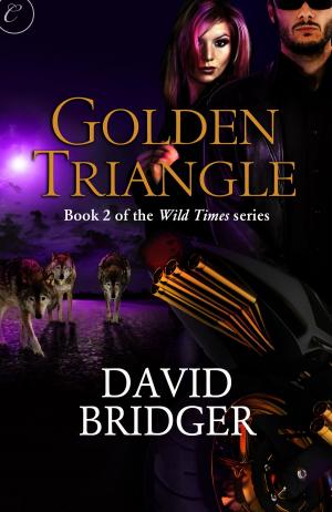 Cover of the book Golden Triangle by Michelle Witvliet