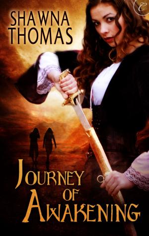 Cover of the book Journey of Awakening by Emily Ryan-Davis