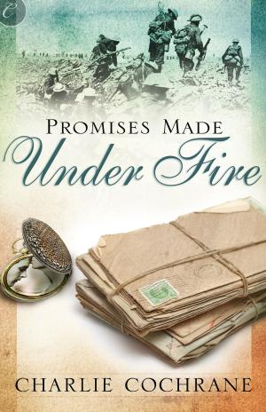 Cover of the book Promises Made Under Fire by Lynda Aicher