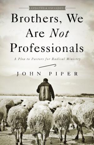 Cover of the book Brothers, We Are Not Professionals by Barry E. Horner