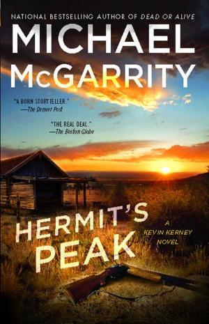 bigCover of the book Hermit's Peak by 