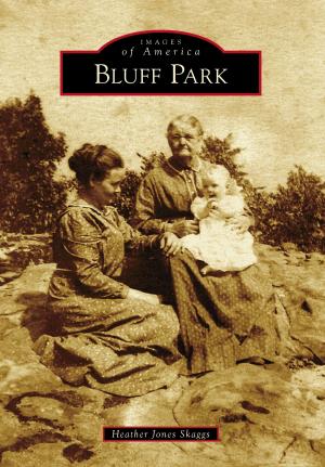 Cover of the book Bluff Park by Tony Olinger