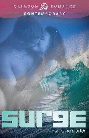 Cover of the book Surge by Chardy Walker Lieb