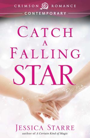 Book cover of Catch A Falling Star - Special Promotional Edition