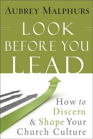 Cover of the book Look Before You Lead by Amy Carroll, Cheri Gregory