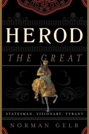 Cover of the book Herod the Great by Sue Campbell