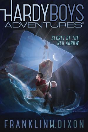 Cover of the book Secret of the Red Arrow by Carolyn Keene