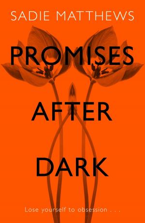 Book cover of Promises After Dark