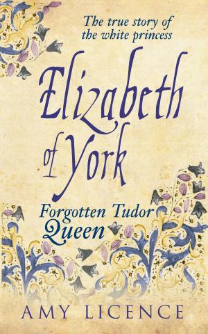 Cover of the book Elizabeth of York by John Sharrock Taylor