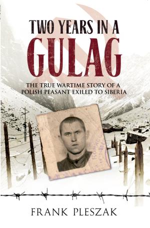Cover of the book Two Years in a Gulag by Michael Handford