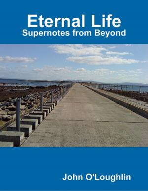 Cover of the book Eternal Life - Supernotes from Beyond by David E Owen