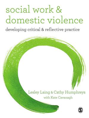 Cover of the book Social Work and Domestic Violence by Tiffany Bergin