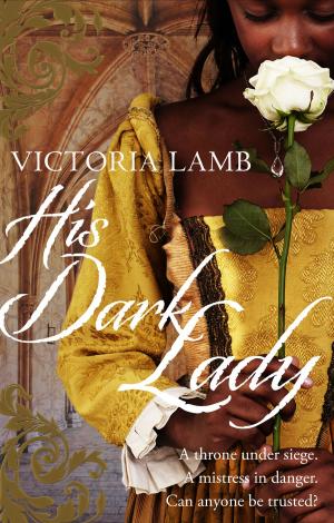 bigCover of the book His Dark Lady by 
