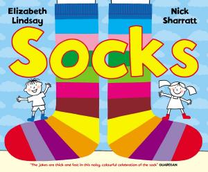 Cover of the book Socks by Debi Gliori