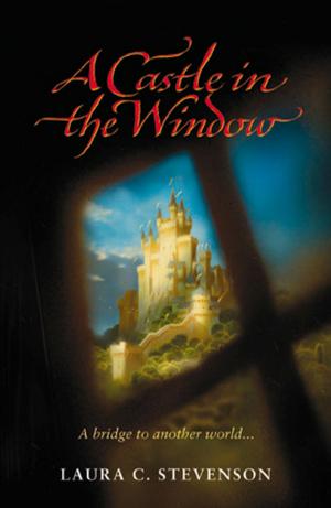 Cover of the book Castle In The Window by Janey Louise Jones