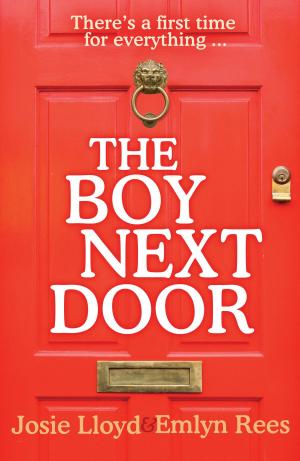 Cover of the book The Boy Next Door by Emily Spangler