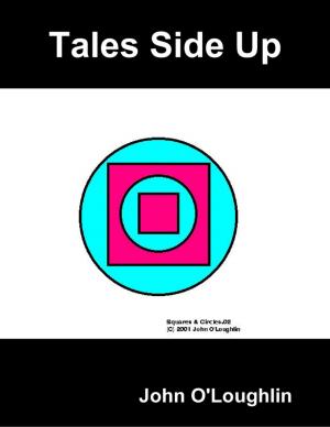 Cover of the book Tales Side Up by Layla Delaney