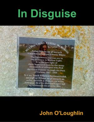 Cover of the book In Disguise by Joshua Seidl