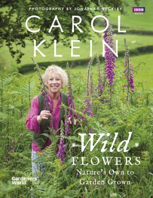 Cover of the book Wild Flowers by Manuela Dahinden, Melanie Paschke