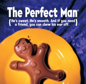 bigCover of the book The Perfect Man by 