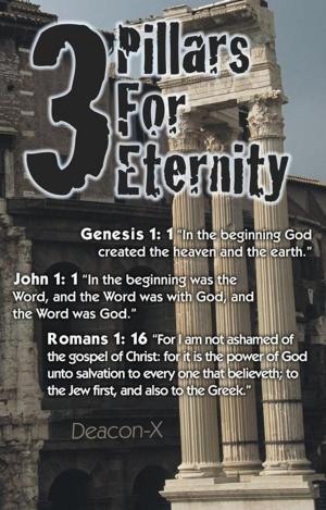 Cover of the book 3 Pillars for Eternity by John Frazier Bonner