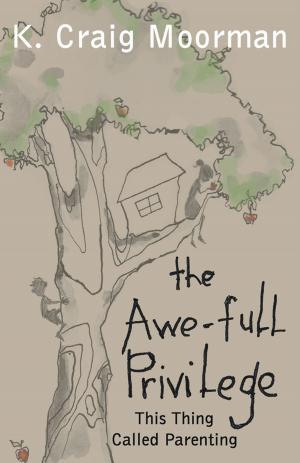 Cover of the book The Awe-Full Privilege by Noreen Estes