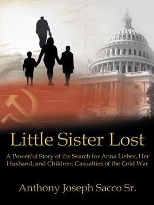 Book cover of Little Sister Lost
