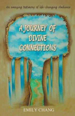 Cover of the book A Journey of Divine Connections by John V. Coniglio