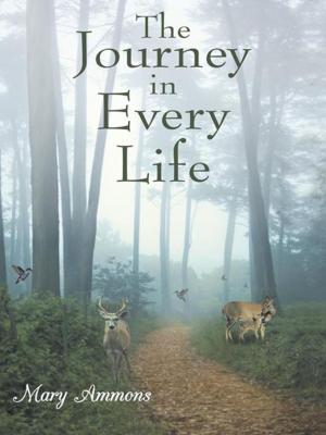 Cover of the book The Journey in Every Life by Natasha R. Williams B.S. M.B.A, Niares A. Hunn D.D. PhD., Paul H. Evans B.S Pastor