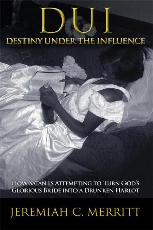 Cover of the book Dui—Destiny Under the Influence by Iris Munchinsky