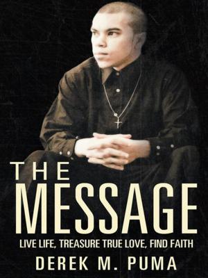 Cover of the book The Message by J Hernes Abante