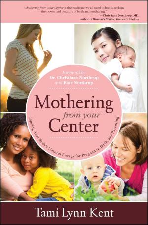 Cover of the book Mothering from Your Center by Sheila Hollins, Deborah Hutchinson