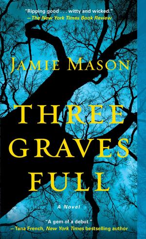 bigCover of the book Three Graves Full by 