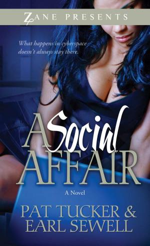 Cover of the book A Social Affair by Terri E. Laine, A.M. Hargrove