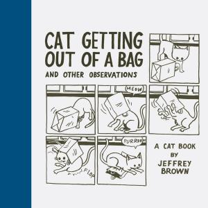 Cover of the book Cat Getting Out of a Bag and Other Observations by Catherine Broughton