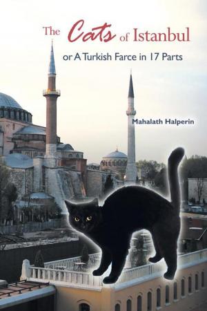 Cover of the book The Cats of Istanbul by Lexa Harpell
